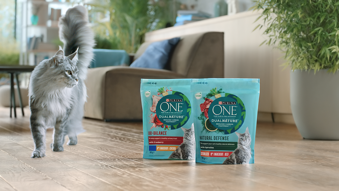 Purina one dual nature best sale cat food